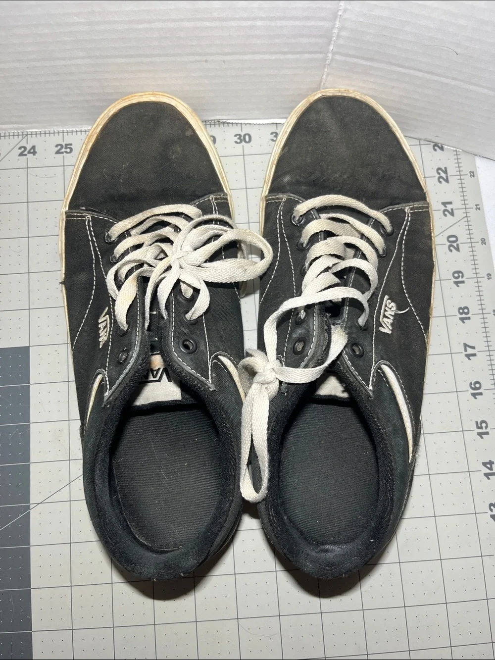 Vans Black and White Low-Top Skate Sneakers